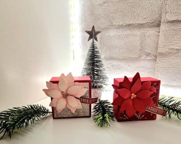 Maxi Teelicht-Verpackung, zur Weihnachtszeit, Mitbringsel, Gastgeschenk, Adventszeit